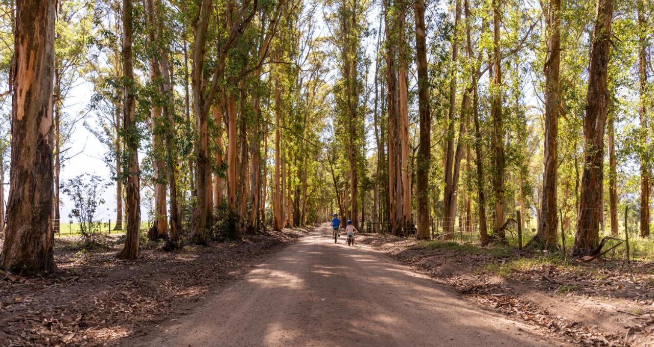 Africamps At Oakhurst Wilderness Ngoại thất bức ảnh